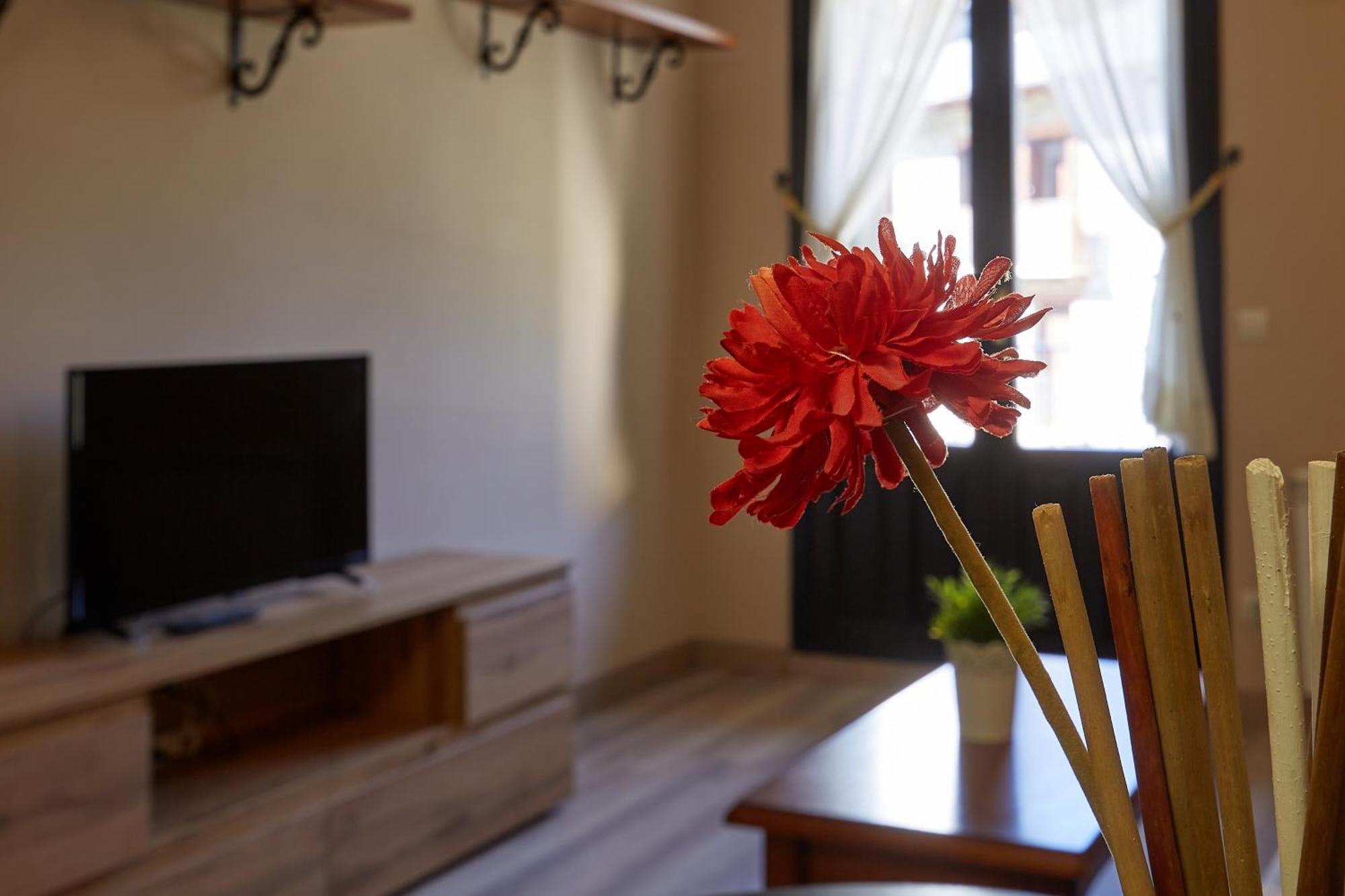 Apartment Santa Cruz Broto